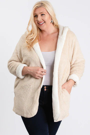 Plus Taupe Luxury Double Side Sherpa Hoodie